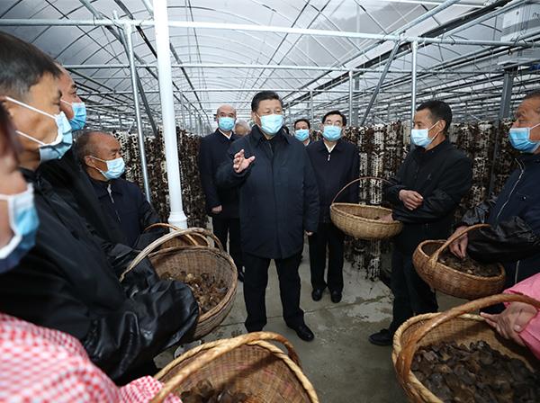 习近平总书记考察星空彩票app官方版下载app援建的金米村智能连栋木耳大棚