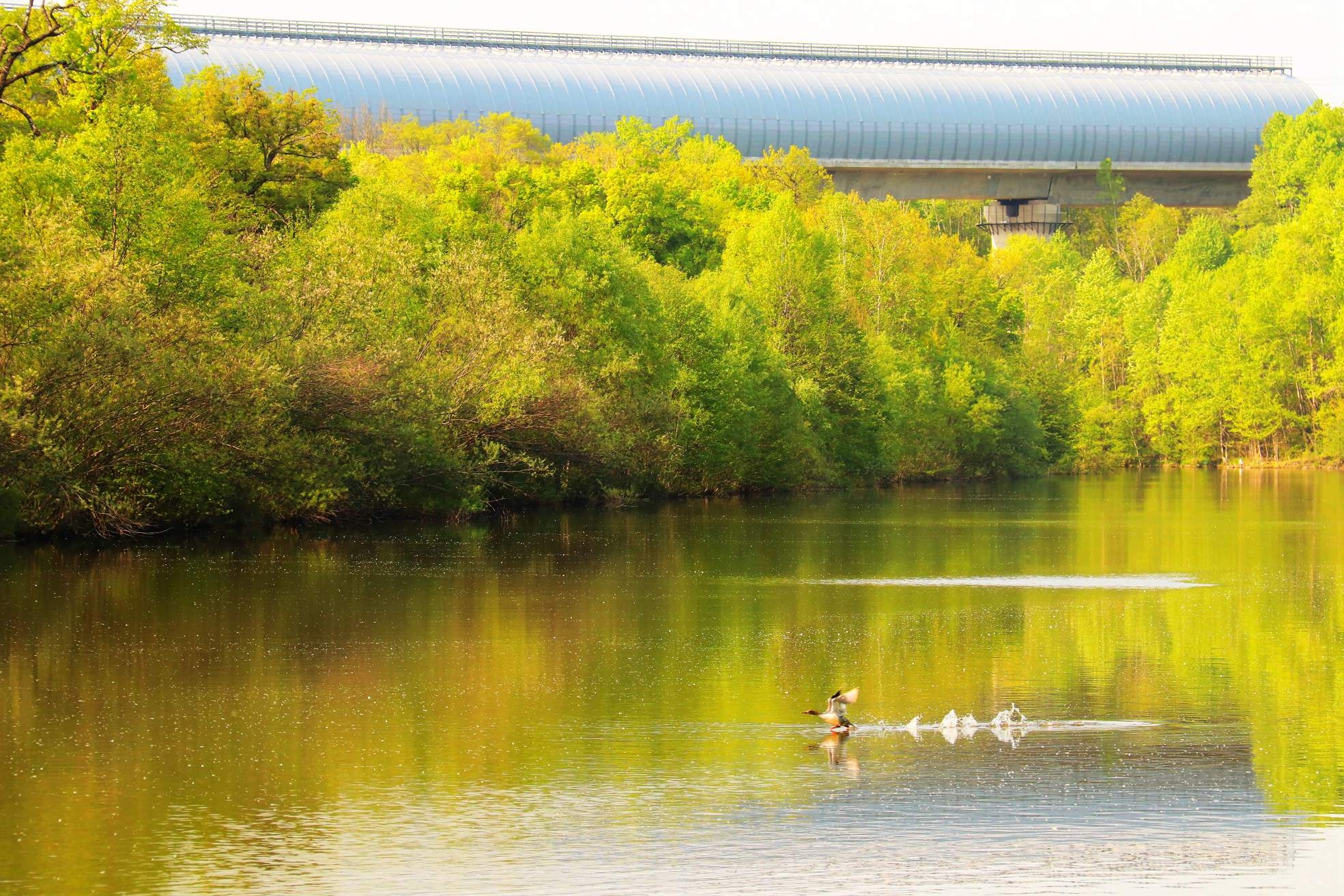世界地球日：铁肩筑绿 匠心护蓝——星空彩票app官方版下载app的生态答卷（二）